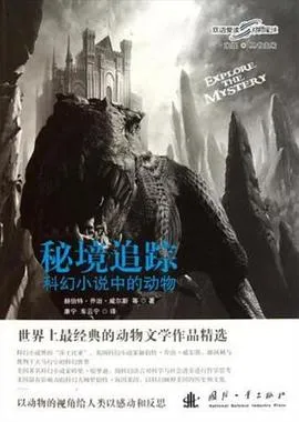 夏日情人